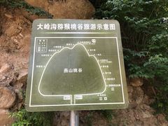 -大岭沟猕猴桃谷风景区
