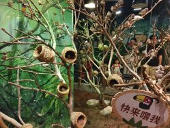 -Zoolung Zoolung动物主题公园(海信广场店)