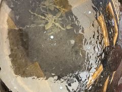 -四海蒸鲜蒸汽海鲜自助(北戴河店)
