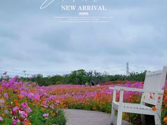 -花开海上生态园