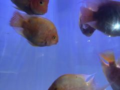 -砂之船奥特莱斯(合肥店)