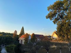 -报恩禅寺