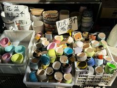 -桂林市花鸟市场