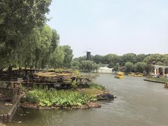 -上海鲜花港