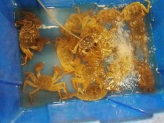 -虾弄弄海派小龙虾·牛羊蝎子火锅