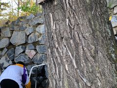 -阳台山自然风景区