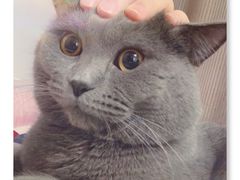 -乐琪宠物(青塔西路店)