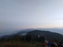 -长虫山生态公园风景林