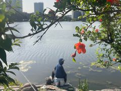 -美兰湖景区