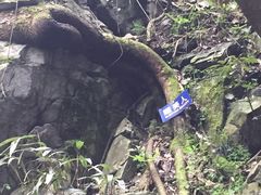 -藏龙百瀑风景区