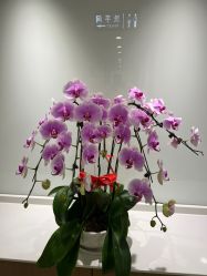 -丰联丽格医疗美容·联合丽格眼整形中心