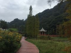 -广州市石门国家森林公园