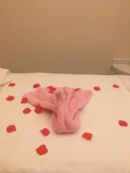 -美丽田园Beauty Farm