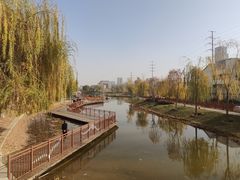 -雁滩公园