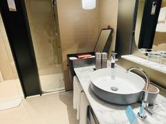 -新加坡瑞士史丹福酒店