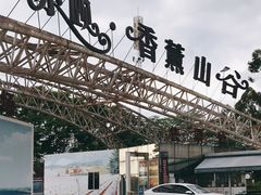 -紫颐香薰山谷景区