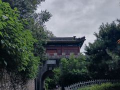 -云岗森林公园