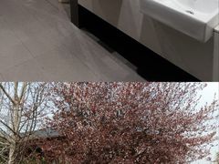 -中国天府农业博览园