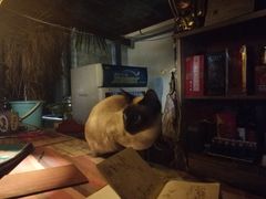 -尼玛藏家风味园(阿山食城店)