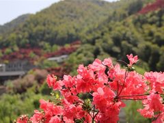 -四明山国家森林公园