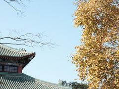 -钟山体育运动公园