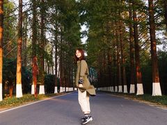 -黄海国家森林公园