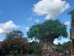 -奥兰多迪士尼动物王国乐园