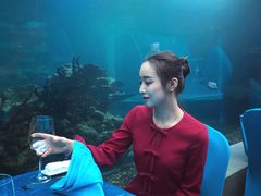 -海棠湾洲际-涛·海底餐厅·美人鱼·自助餐·海底隧道