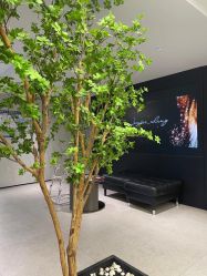 -付军剪艺JF ProSalon