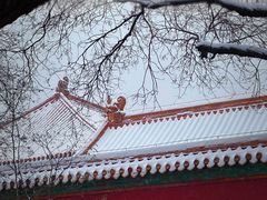 -故宫博物院(故宫)