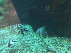 -鸿通城购物中心