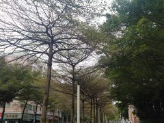 -山水茶艺馆·点心粤菜·30年老字号