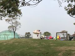 -上海都市菜园