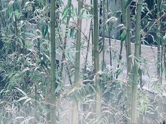 -真爱年华水疗健康运动中心(朱雀大街店)