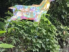 -观澜山水田园