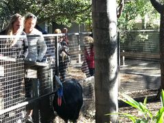 -费瑟代尔野生动物园