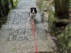 -黄山翡翠谷景区