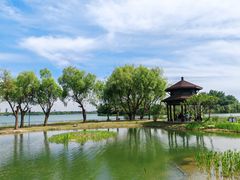 -渤公岛生态公园