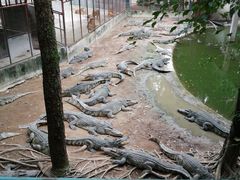 -是拉差龙虎园(Permanently closed)