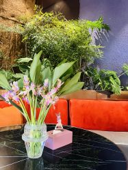 -花隐·美芙炫海菲秀皮肤管理中心