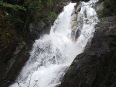 -九龙江国家森林公园