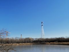 -大兴滨河森林公园