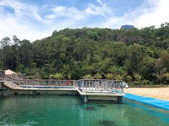-广东惠东海龟国家级自然保护区
