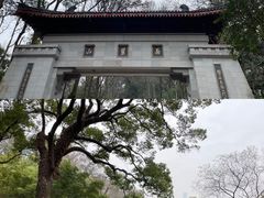 -岳麓山风景名胜区