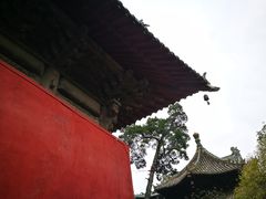 -报恩寺(平武县)