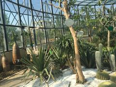 -武清南湖绿博园