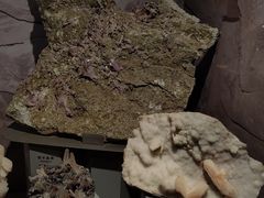-正佳自然科学博物馆