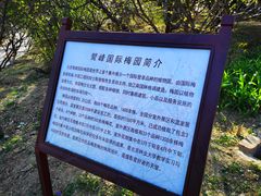 -北京鹫峰国家森林公园