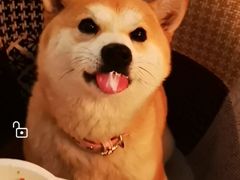 -the rug 飞毯 (朝阳公园店)