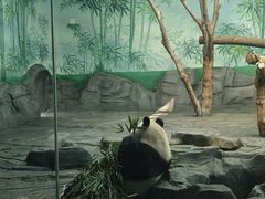 -秦皇岛野生动物园